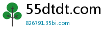55dtdt.com